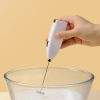 Mini Stainless Electric Handheld Egg Beater Household Kitchen Steel Coffee Milk Tea Blender Beat up the Cream Stirring